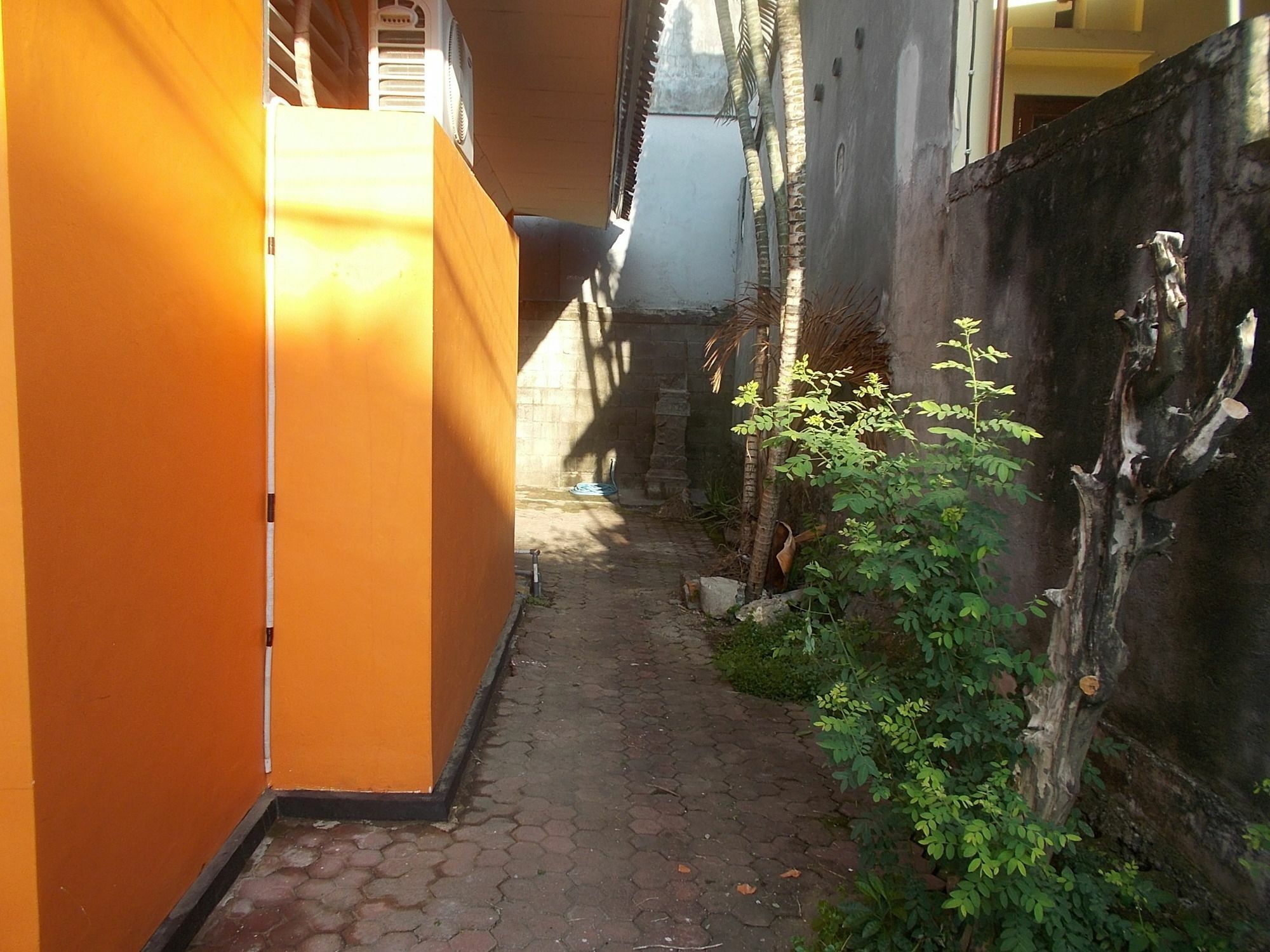 Szabrian Hostel دنباسار المظهر الخارجي الصورة